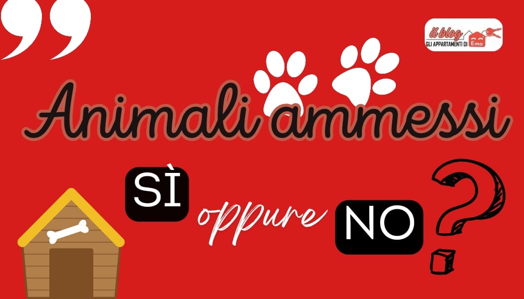Animali “si” o animali “no” nel tuo B&B?